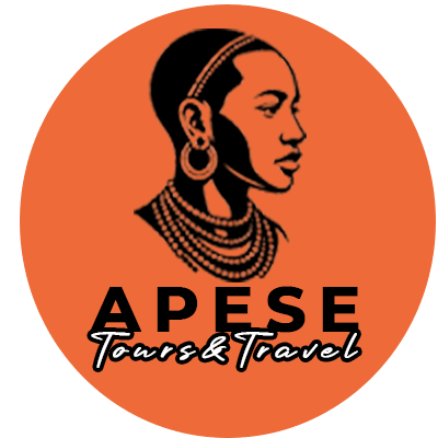 Apese toursWhy Book with Apese Tours? Our Story and Values