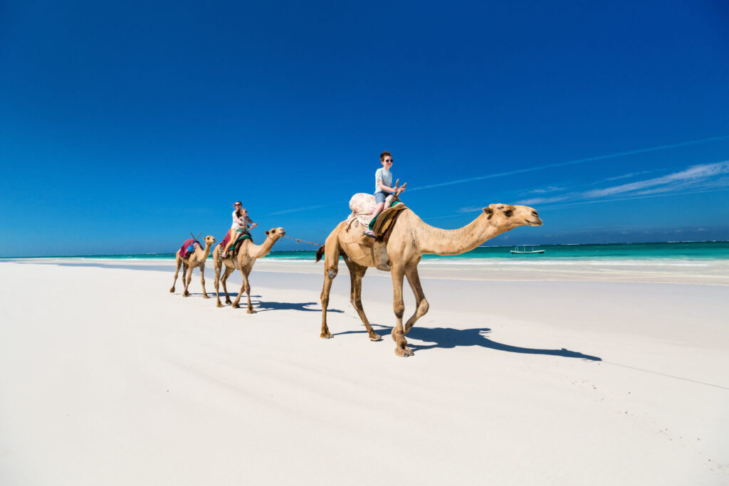 Top 5 Must-Visit Beaches in Kenya: Diani, Watamu, and More