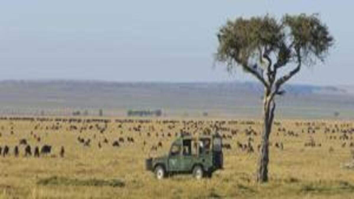 Best Time to Visit Kenya in 2025 and 2026: A Seasonal Travel Guide