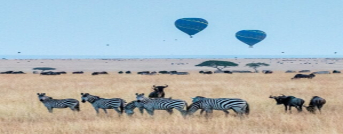 14 Days in Kenya: The Ultimate Wildlife and Beach Adventure
