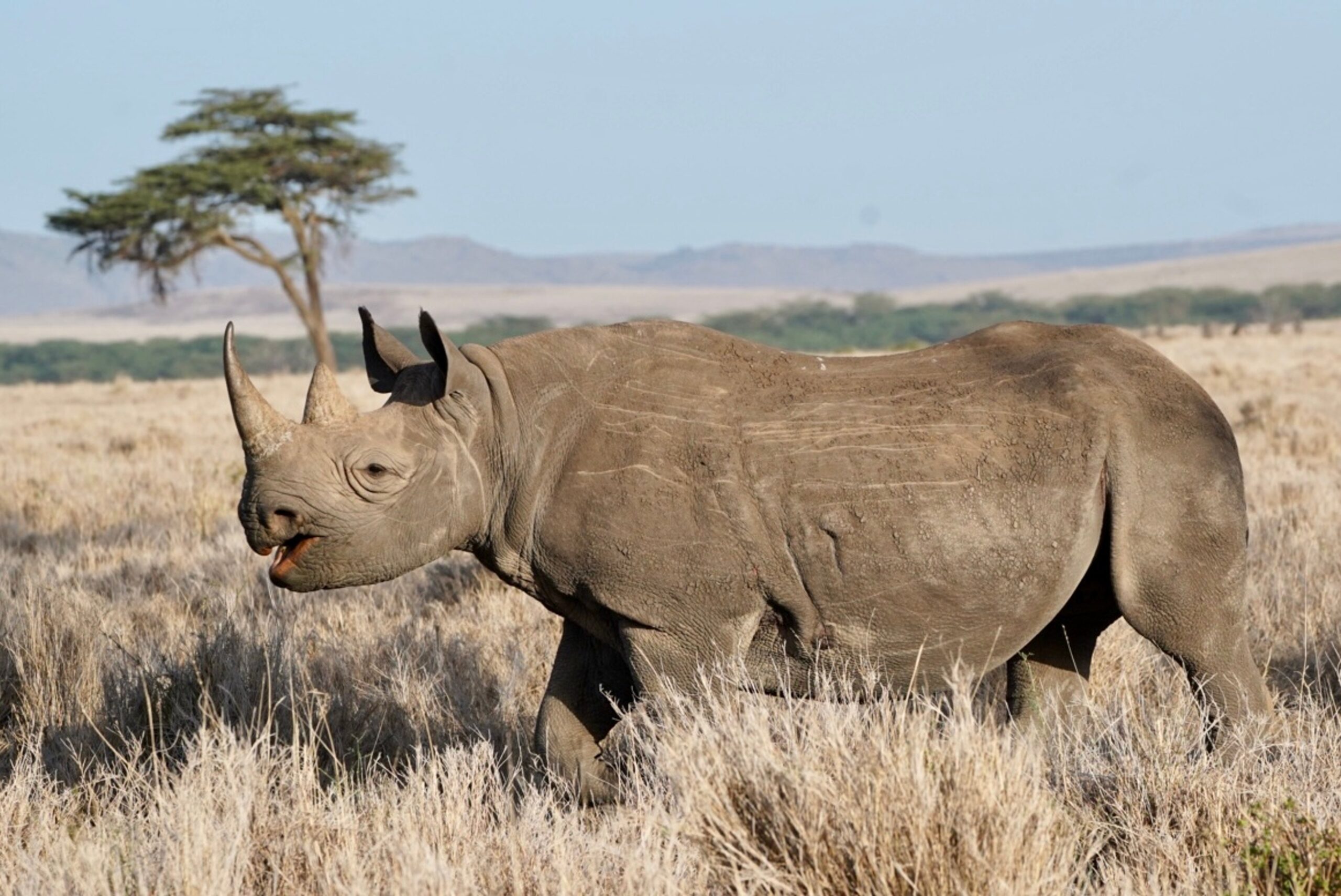 Discover the top 5 Natural Wonders of Kenya – A Bucket-List Safari Experience