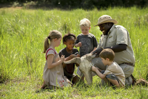 Kenya Safari with Kids: An Incredible Family Adventure You’ll Never Forget 2025