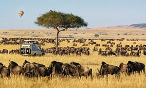 🦁 6 Unbelievable Family-Friendly Safari Itineraries Revealed with Apese Tours